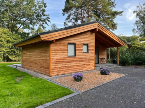 Neues Holzhaus am Steinhuder Meer